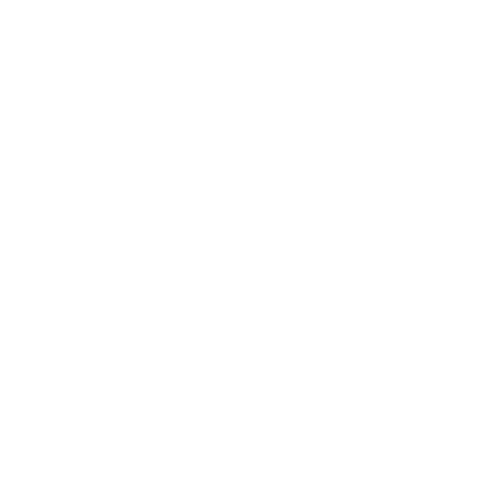 Logo Courir à Lyon